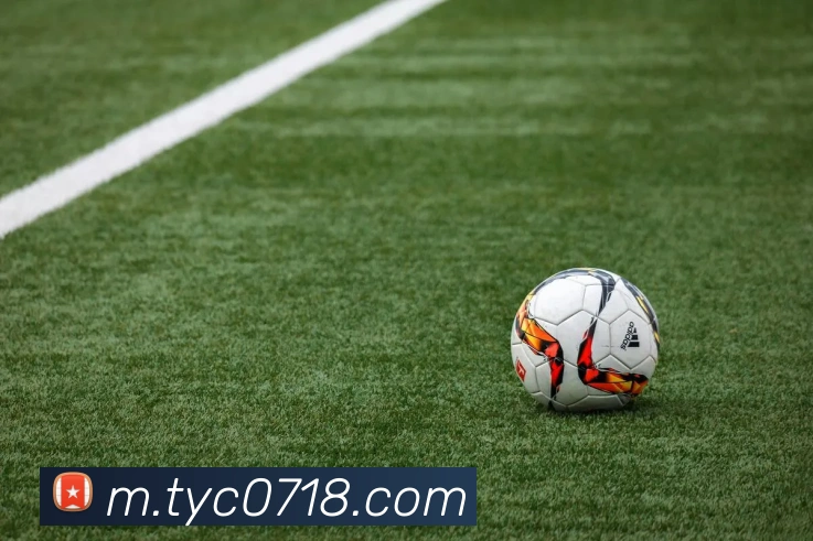 太阳城发展历程